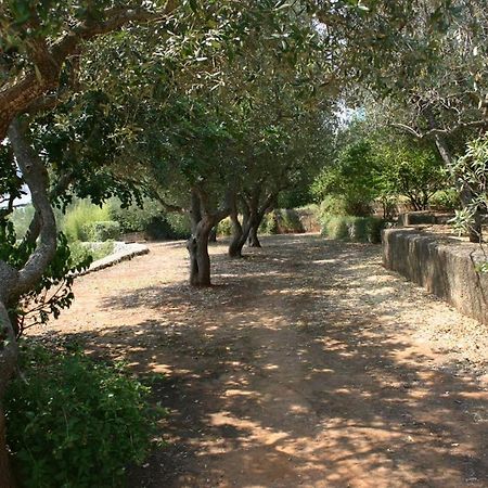 Appartamento In Villa Fortunata Terra Marina Serra Bagian luar foto