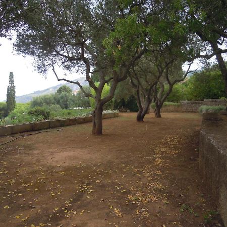 Appartamento In Villa Fortunata Terra Marina Serra Bagian luar foto