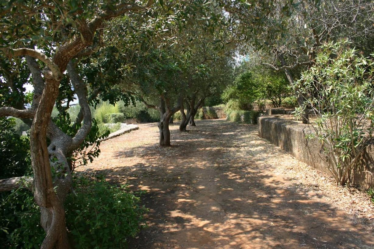 Appartamento In Villa Fortunata Terra Marina Serra Bagian luar foto