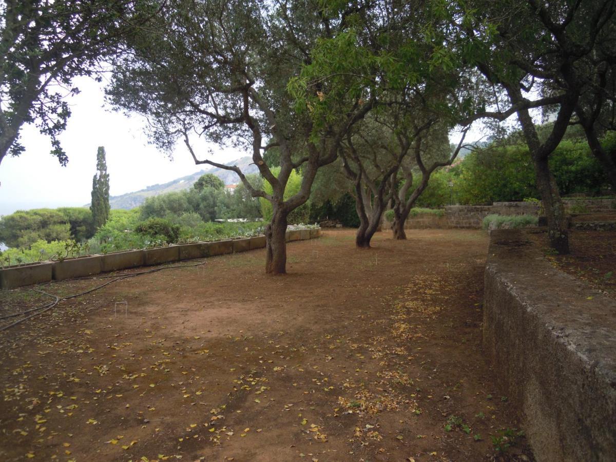 Appartamento In Villa Fortunata Terra Marina Serra Bagian luar foto